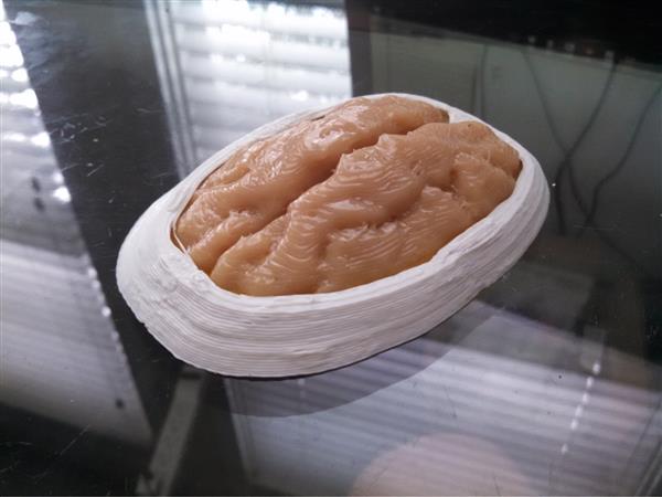 ALT˾_l(f)ͳɱĹz3Dӡˇ
