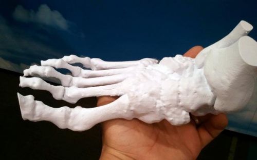t(y)3Dӡ