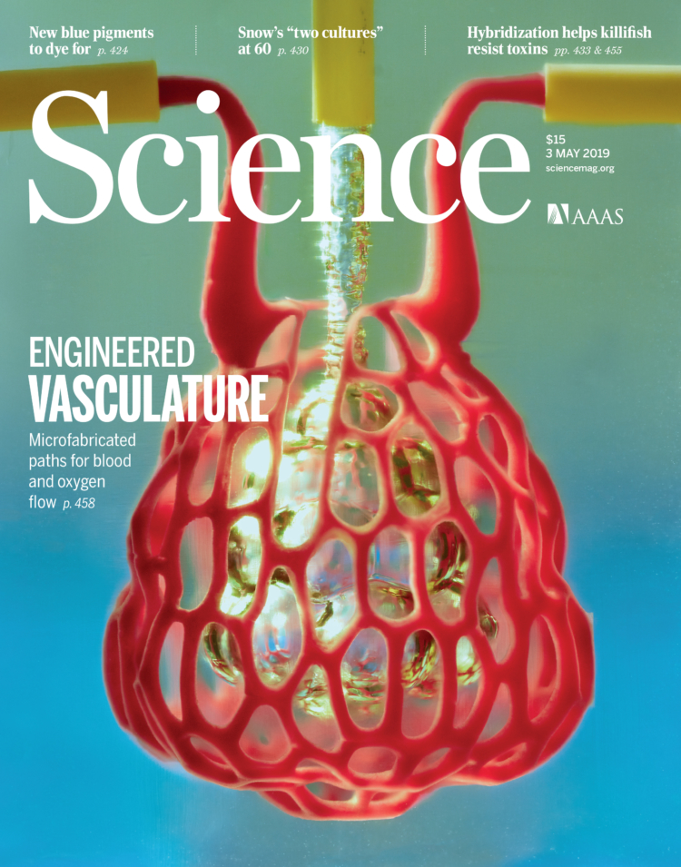 Nervous System與萊斯大學(xué)研究人員合作3D打印血管網(wǎng)絡(luò) Nervous System與萊斯大學(xué)研究人員合作3D打印血管網(wǎng)絡(luò)