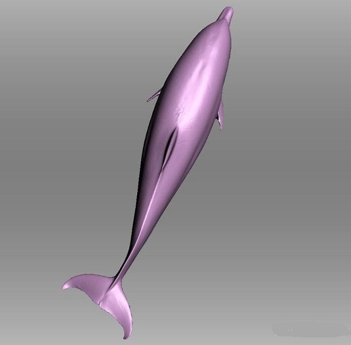 大學生利用3D掃描創建海豚、海龜、鯊魚三維數據,研究海洋生命 大學生利用3D掃描創建海豚、海龜、鯊魚三維數據,研究海洋生命