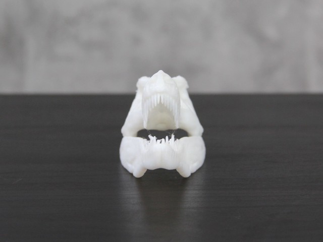 3DӡC