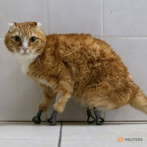b3Dӡx֫؈