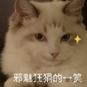 ɕC٬FT܇@ˣֳӲ