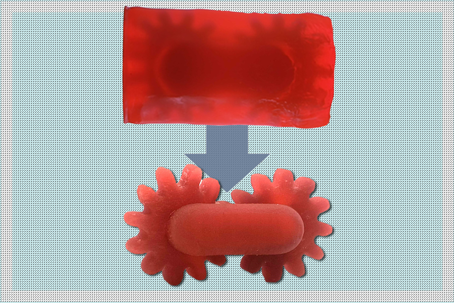 ܴӡҲ֧ΣʡMIT_(ki)l(f)͹֬